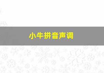 小牛拼音声调