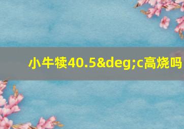 小牛犊40.5°c高烧吗