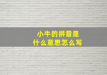 小牛的拼音是什么意思怎么写