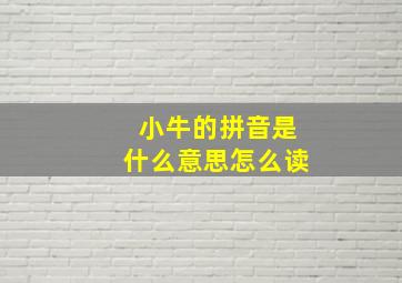 小牛的拼音是什么意思怎么读