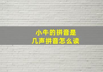 小牛的拼音是几声拼音怎么读