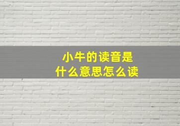 小牛的读音是什么意思怎么读