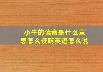 小牛的读音是什么意思怎么读啊英语怎么说