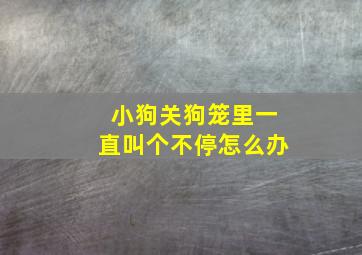 小狗关狗笼里一直叫个不停怎么办