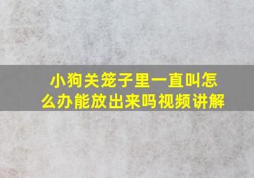 小狗关笼子里一直叫怎么办能放出来吗视频讲解