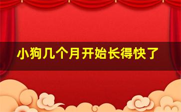 小狗几个月开始长得快了