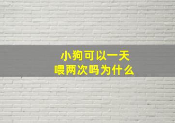 小狗可以一天喂两次吗为什么