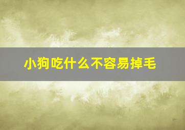 小狗吃什么不容易掉毛