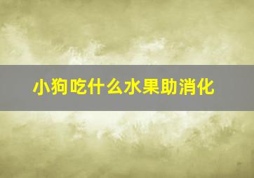 小狗吃什么水果助消化