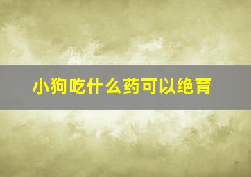 小狗吃什么药可以绝育