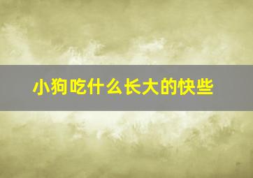 小狗吃什么长大的快些