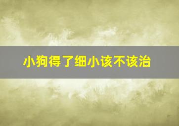 小狗得了细小该不该治