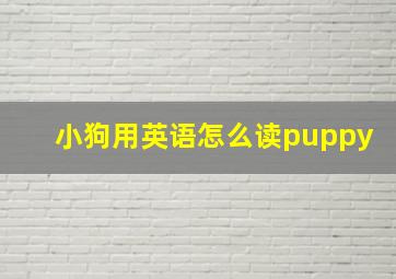 小狗用英语怎么读puppy