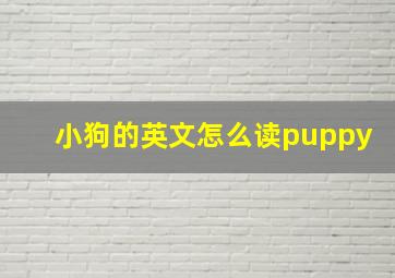 小狗的英文怎么读puppy