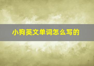 小狗英文单词怎么写的