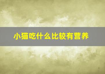 小猫吃什么比较有营养