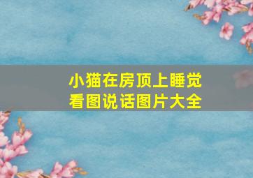 小猫在房顶上睡觉看图说话图片大全