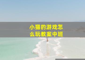 小猫的游戏怎么玩教案中班