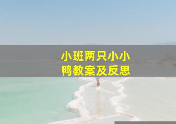 小班两只小小鸭教案及反思