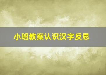 小班教案认识汉字反思