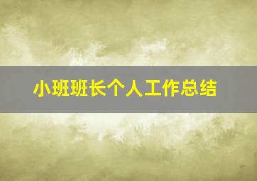 小班班长个人工作总结