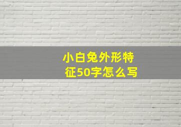 小白兔外形特征50字怎么写