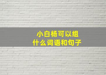 小白杨可以组什么词语和句子