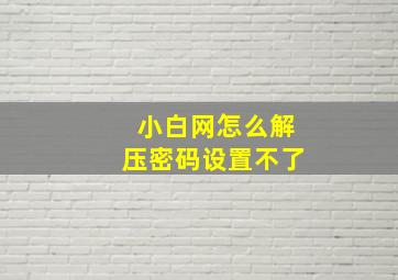 小白网怎么解压密码设置不了