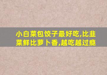 小白菜包饺子最好吃,比韭菜鲜比萝卜香,越吃越过瘾