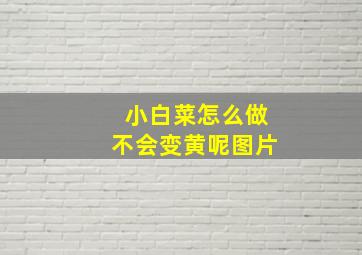 小白菜怎么做不会变黄呢图片