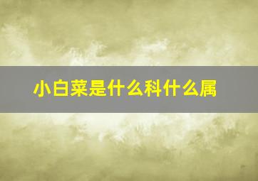 小白菜是什么科什么属