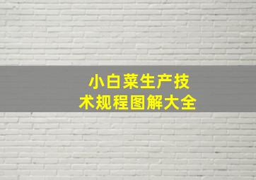 小白菜生产技术规程图解大全