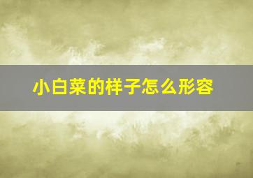 小白菜的样子怎么形容