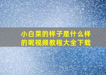 小白菜的样子是什么样的呢视频教程大全下载