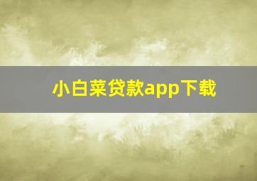 小白菜贷款app下载