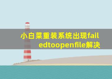 小白菜重装系统出现failedtoopenfile解决