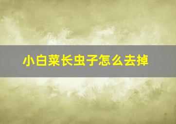 小白菜长虫子怎么去掉