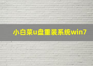 小白菜u盘重装系统win7