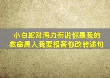 小白蛇对海力布说你是我的救命恩人我要报答你改转述句