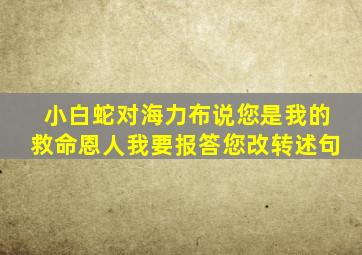 小白蛇对海力布说您是我的救命恩人我要报答您改转述句