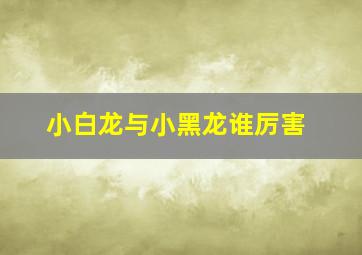 小白龙与小黑龙谁厉害