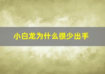 小白龙为什么很少出手