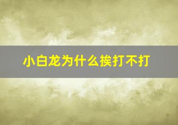 小白龙为什么挨打不打