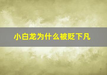 小白龙为什么被贬下凡