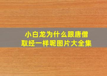 小白龙为什么跟唐僧取经一样呢图片大全集