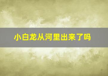 小白龙从河里出来了吗