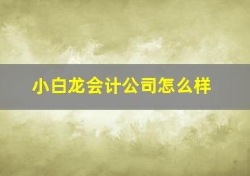 小白龙会计公司怎么样