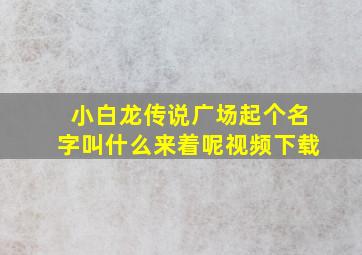 小白龙传说广场起个名字叫什么来着呢视频下载