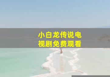 小白龙传说电视剧免费观看