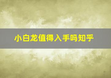 小白龙值得入手吗知乎